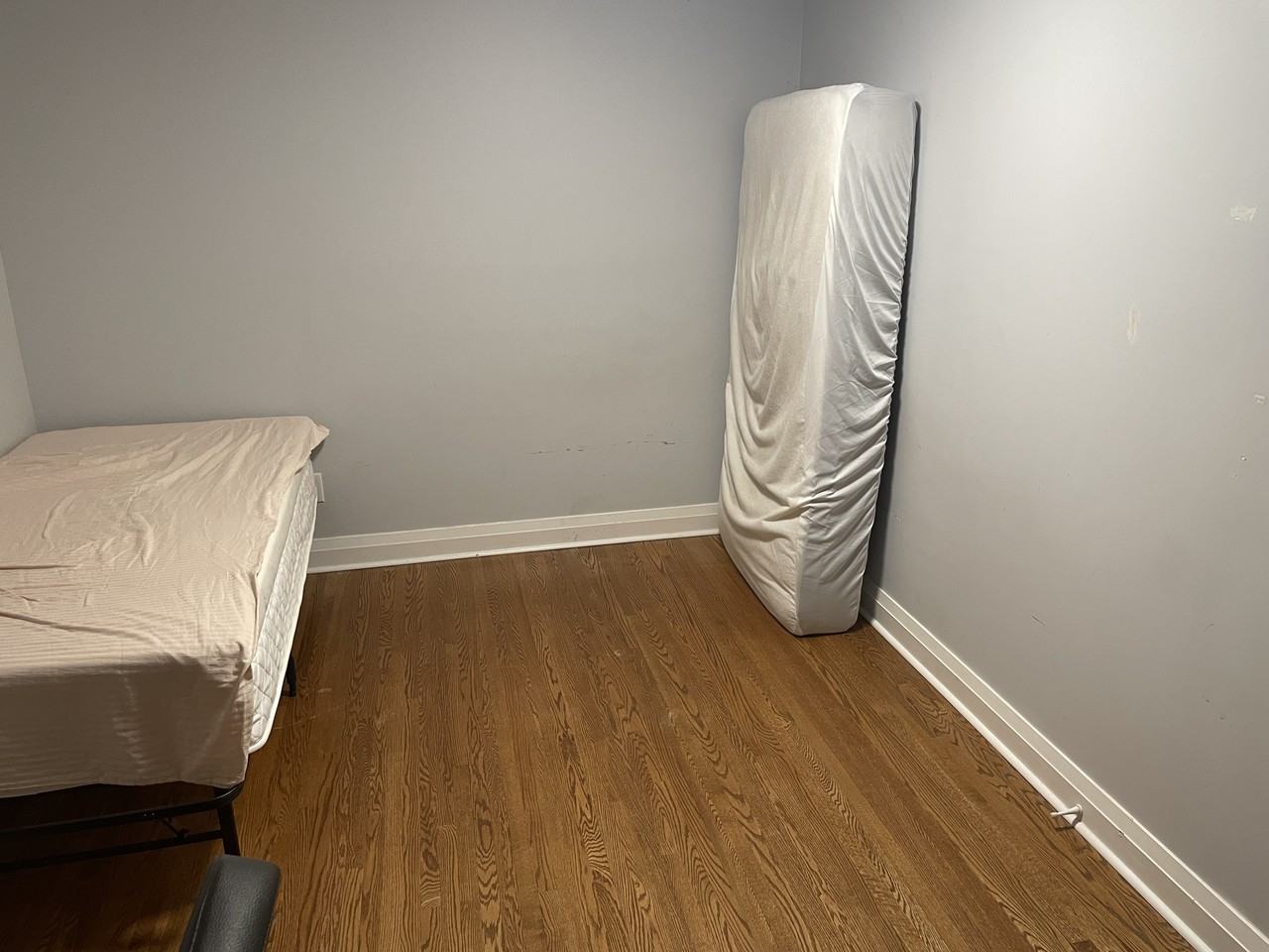 954 Farrell Street - Photo 3 of 13