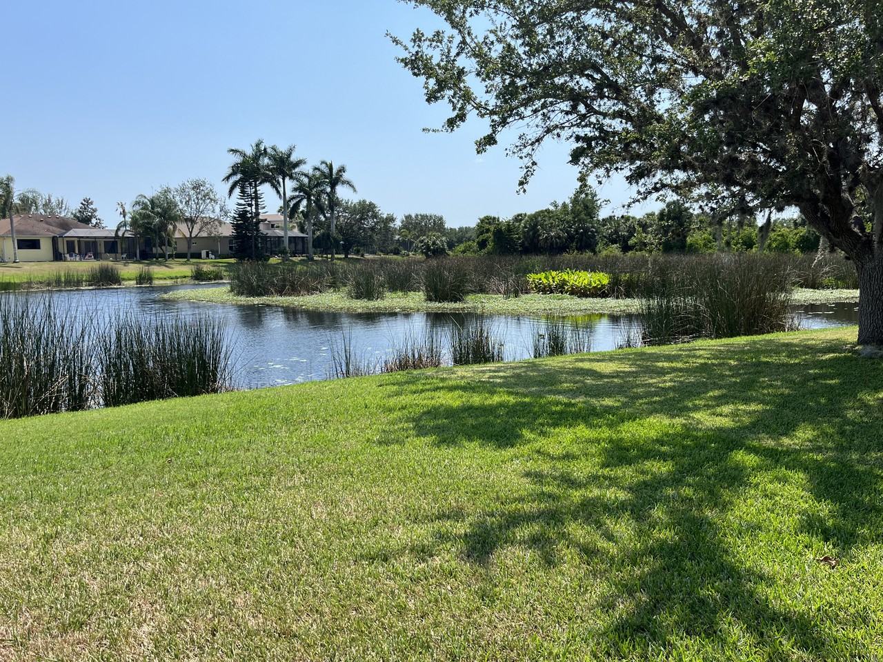 12335 Lavender Loop #NA - Photo 3 of 17