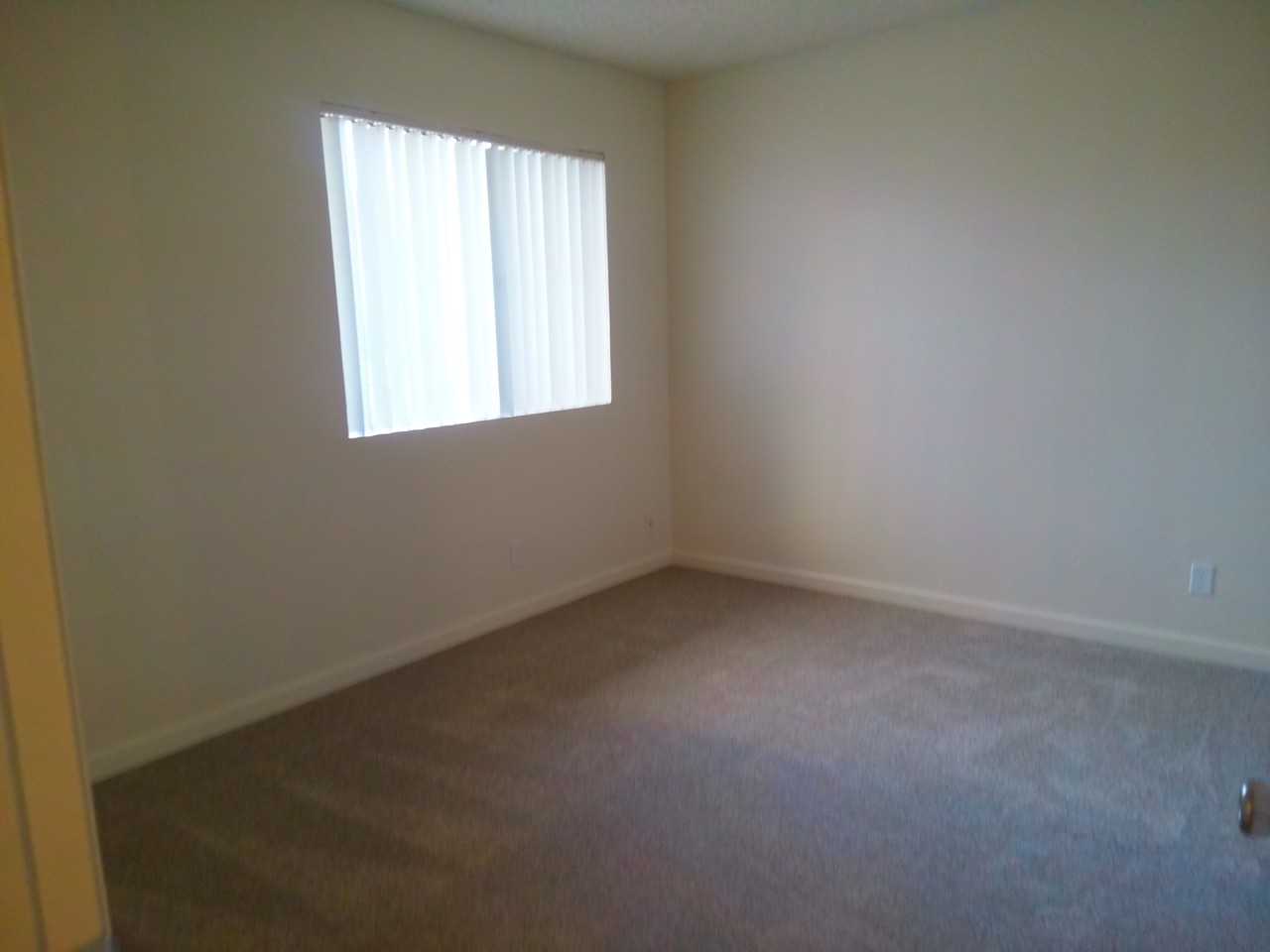 2323 McBride Lane - Photo 2 of 6