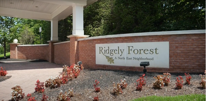 9 Tilia Dr - Photo 3 of 13