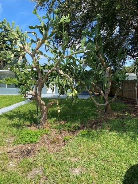 6115 Cresthaven Ct - Photo 3 of 8