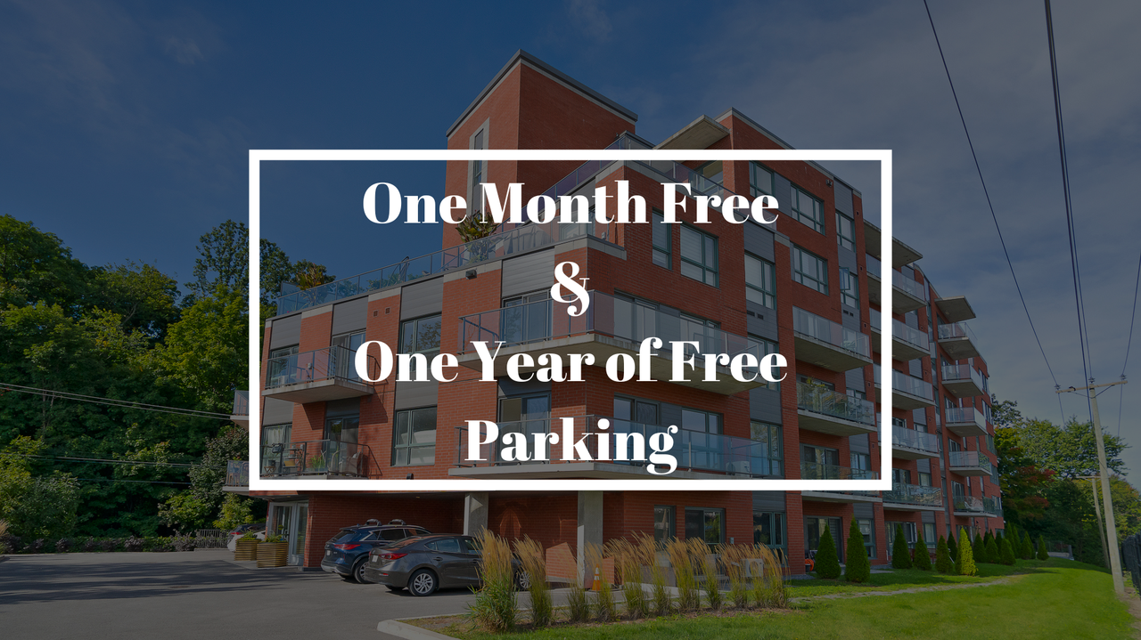 Apartments for Rent In DollardDes Ormeaux, QC Rentals Available Zumper