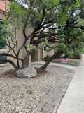 8907 Willmon Way - Photo 1 of 1