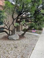 featured image of 8907 Willmon Way