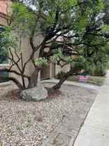 8907 Willmon Way - Photo 1 of 1