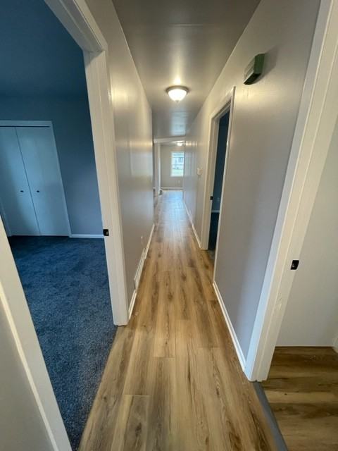 2410 S 18th St #2410 - Photo 3 of 12