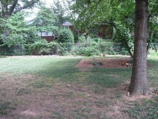 1101 Heather Ln - Photo 2 of 9