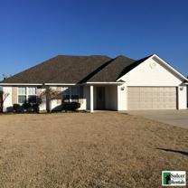4616 Lilly Cv - Photo 1 of 1