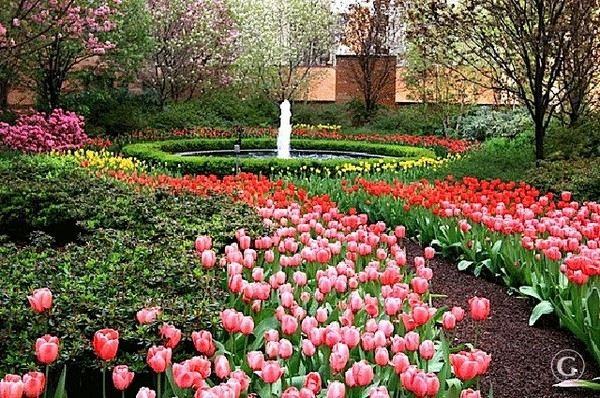 East 102nd St and 2nd Ave - Photo 3 of 5