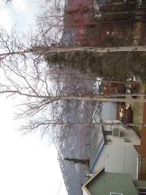 19016 Danny Dr - Photo 3 of 13