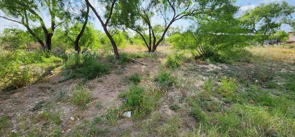 567 Riverside Dr - Photo 4 of 5