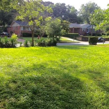 1938 Phillips Dr SE - Photo 3 of 42