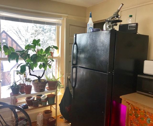 421 Washburn Pl #1 - Photo 2 of 14