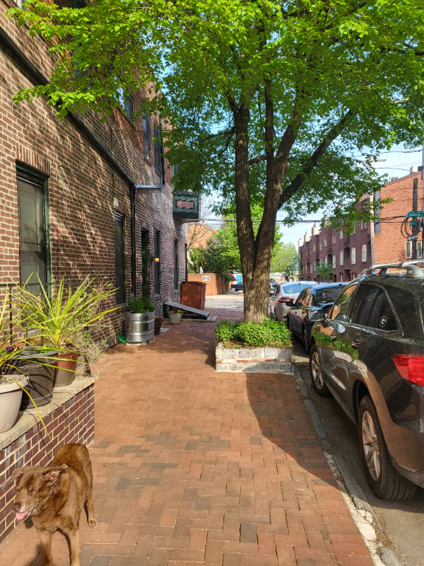 824 S Swanson St #1F - Photo 2 of 26