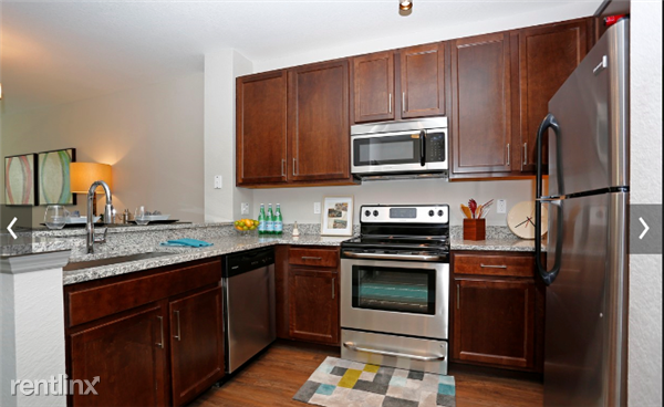 871 Ibis Walk Pl N - Photo 2 of 4