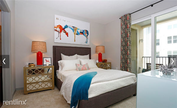 871 Ibis Walk Pl N - Photo 3 of 4