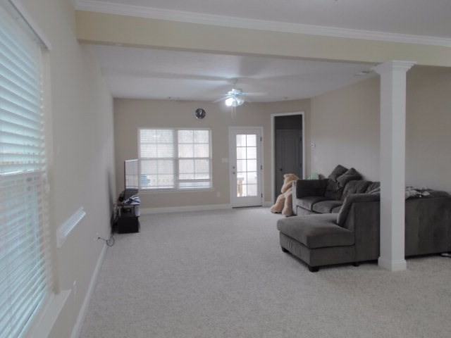 5568 Connor Dr - Photo 2 of 21