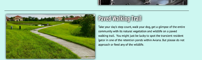 539 Potere Dr - Photo 3 of 36