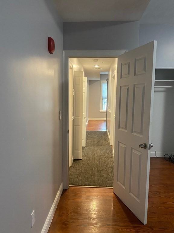 75 Homestead Street #3 - Photo 3 of 7