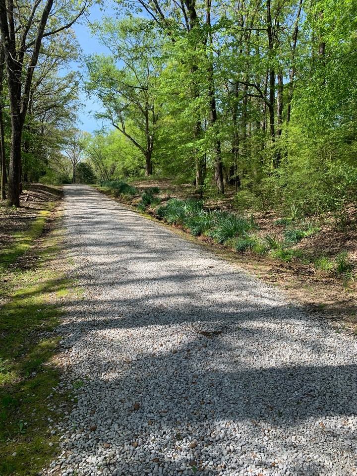 295 County Road 102 #1 - Photo 4 of 22