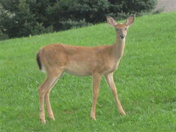 Terrace Ridge Apartments - Photo 2 of 9