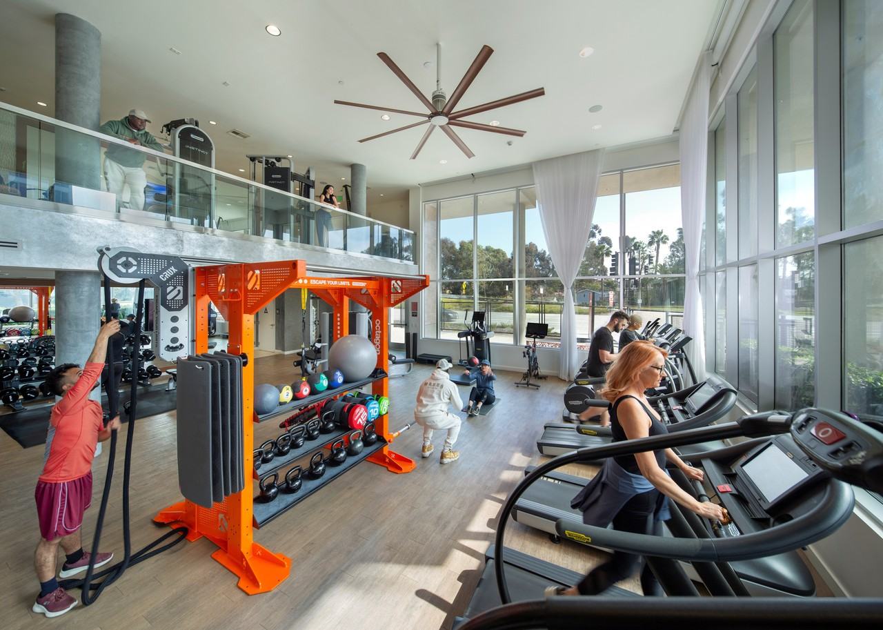 The Q Playa - Photo 7 of 42