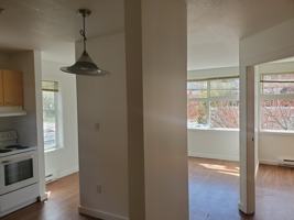 featured image of 238 Selby Street #302