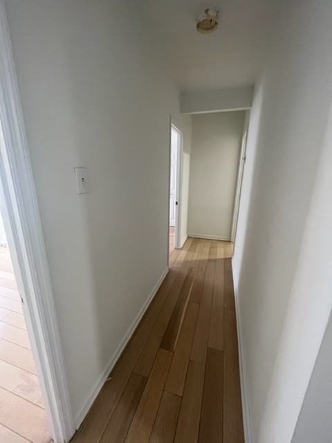 311 Cedar St #B - Photo 5 of 11