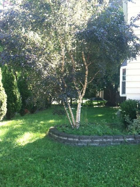 65 Chippewa Rd - Photo 2 of 15