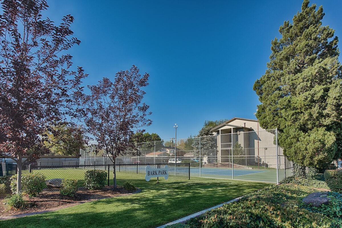 Country Lake - Photo 3 of 43