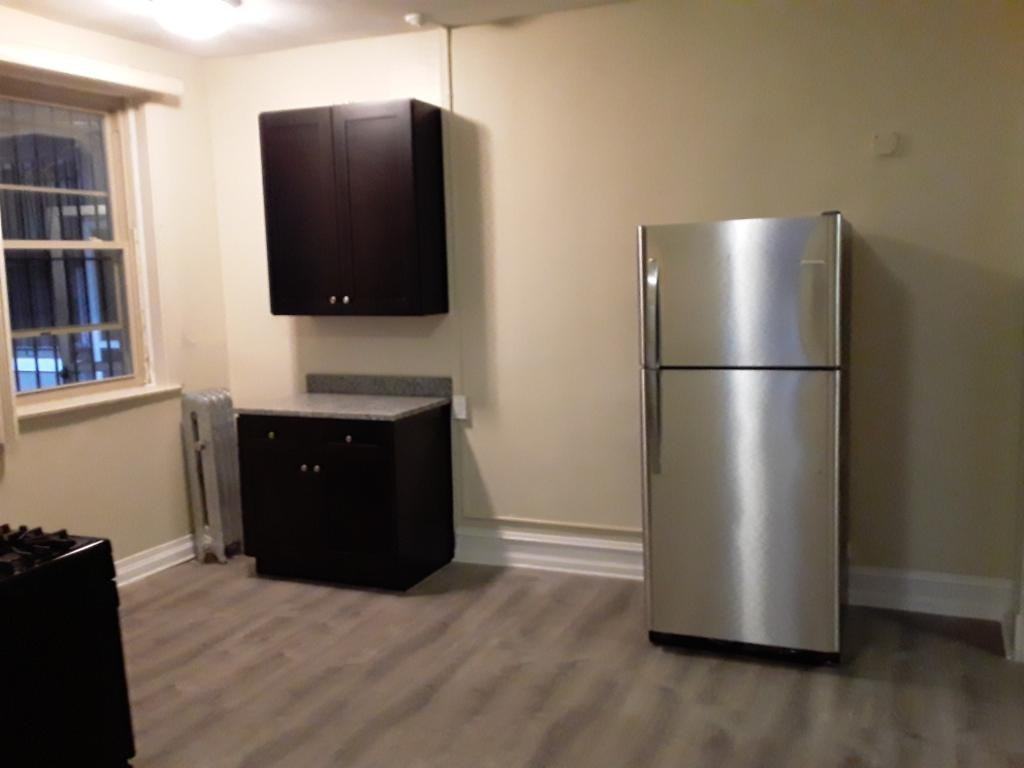 4823 S King Dr #4823-1R21 - Photo 3 of 10