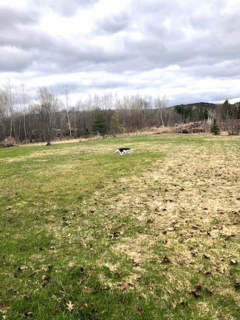 Ester 545 - Photo 3 of 3