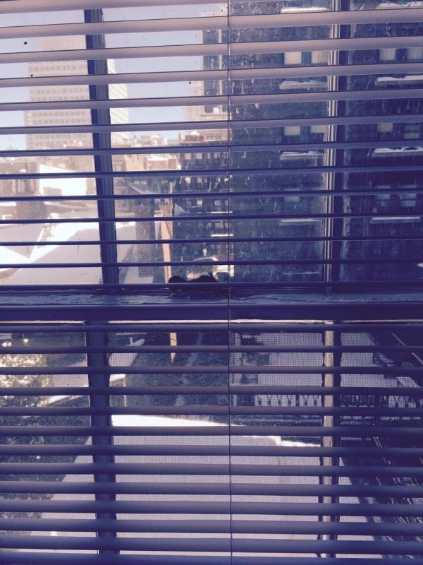 S Russell St #5 - Photo 6 of 6