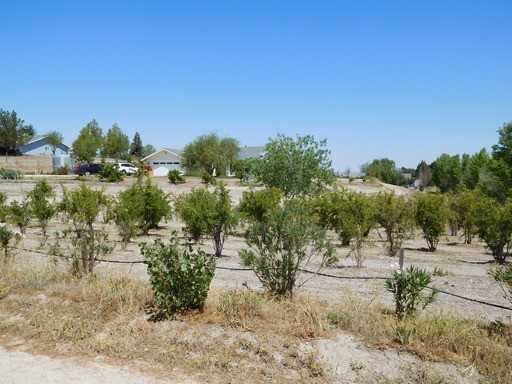 6085 Merlot Ln - Photo 3 of 24