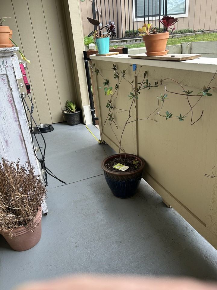 820 Casanova Avenue #41 - Photo 2 of 19