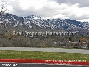 325 325 Boulevard - 325 Boulevard #1-3 - Photo 3 of 21