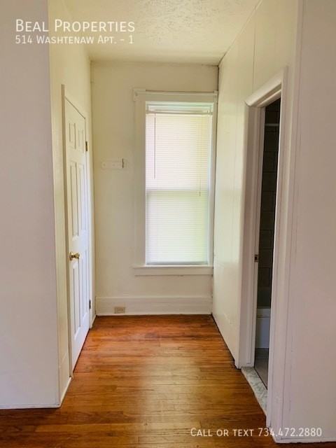 WASHTENAW APT & #1 - Photo 3 of 16