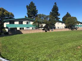 240 Holly Street #11 - Photo 1 of 1