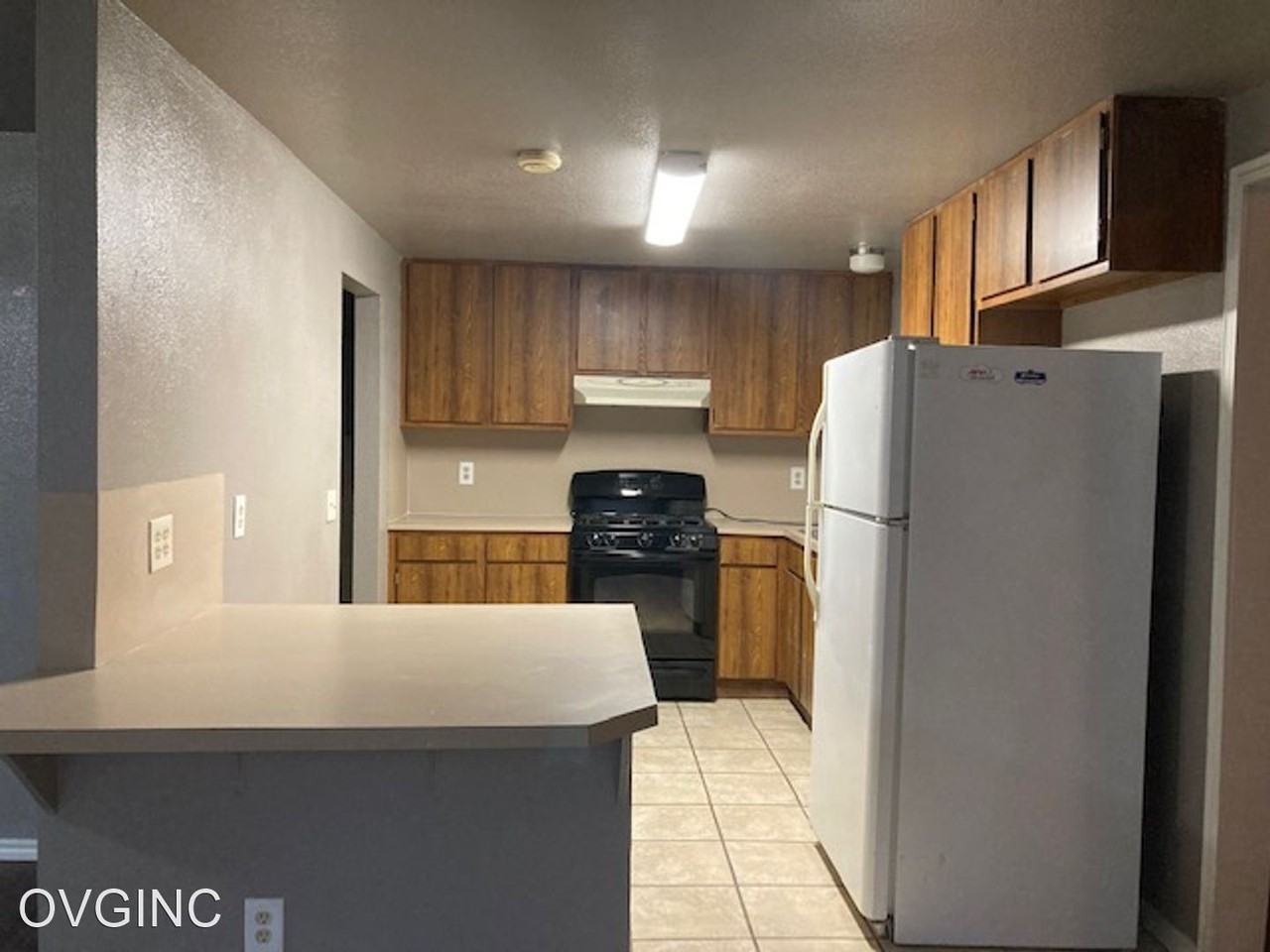 225 W Spruce St - Photo 3 of 13