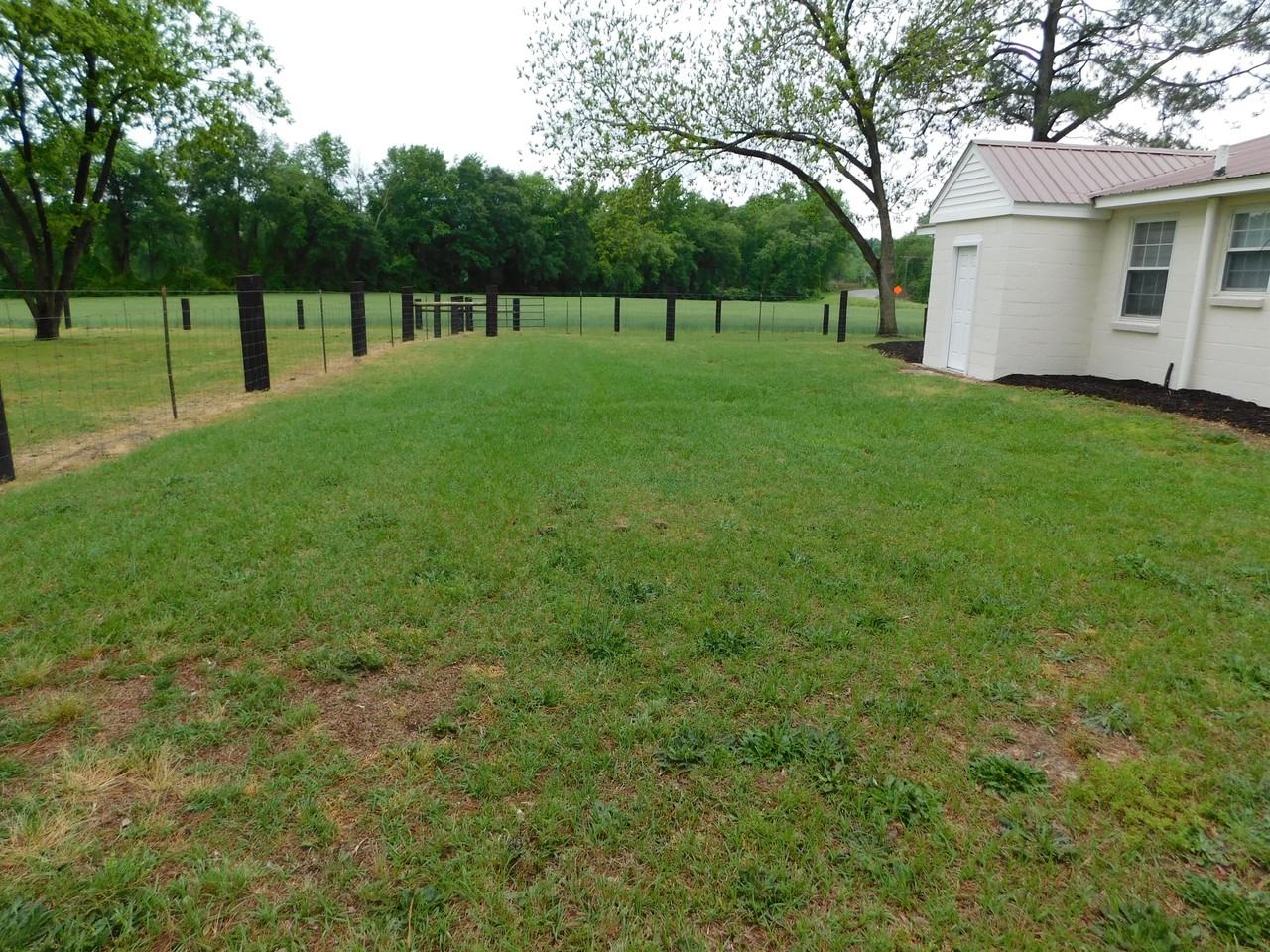 529 Old Mt Olive Hwy #1 - Photo 6 of 21