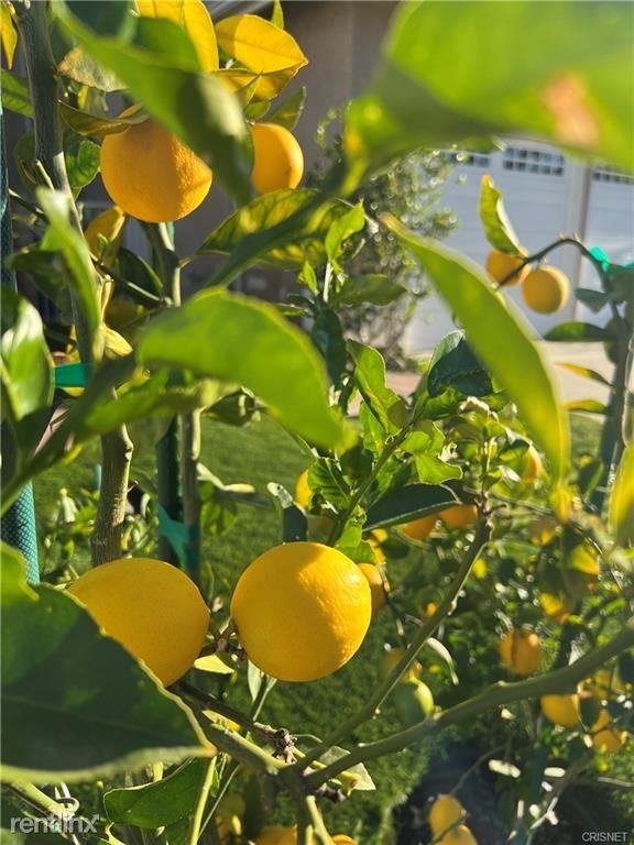 3162 Clarita Ct #353 - Photo 2 of 11