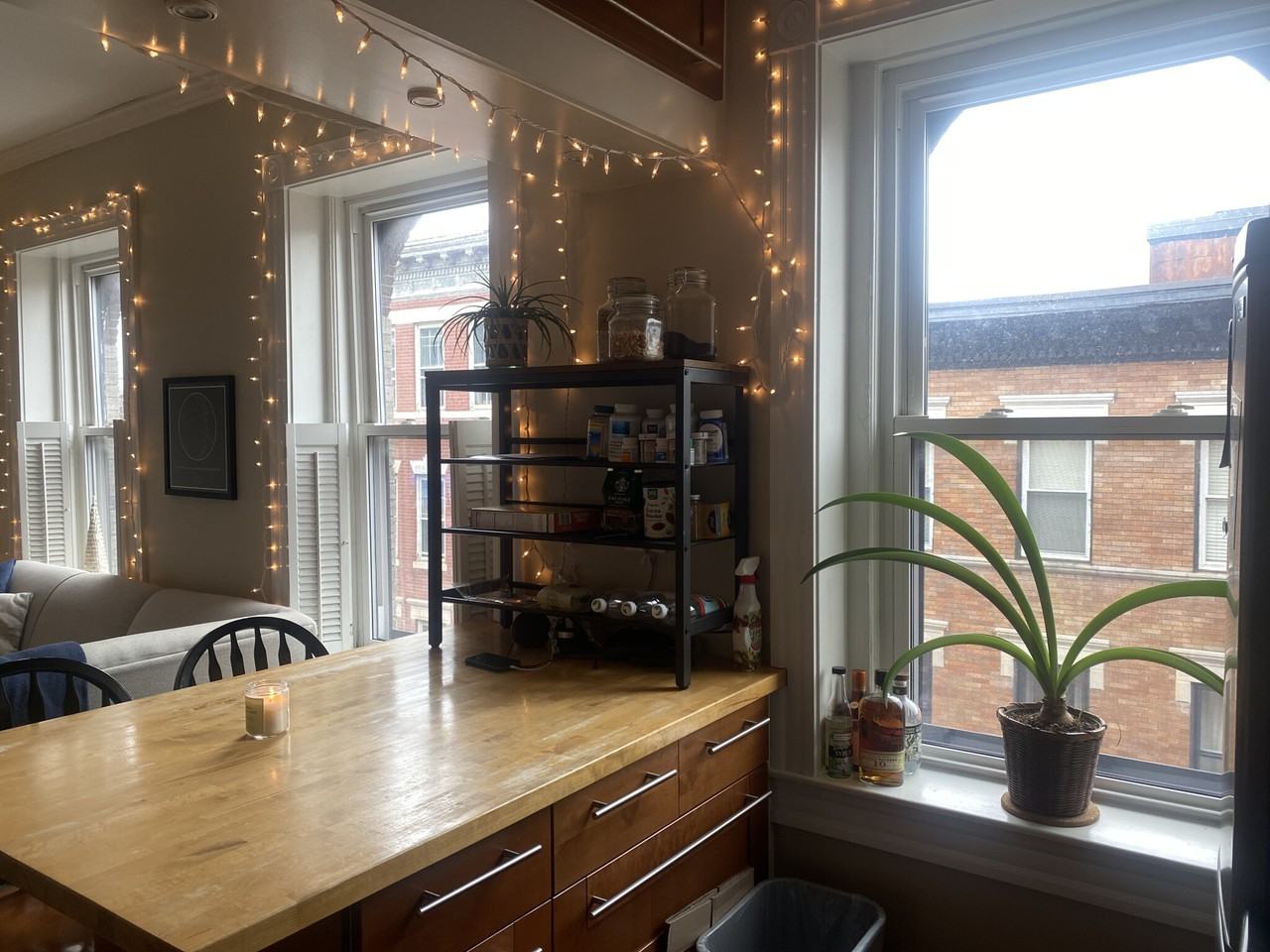 50 Revere St #5 - Photo 2 of 17