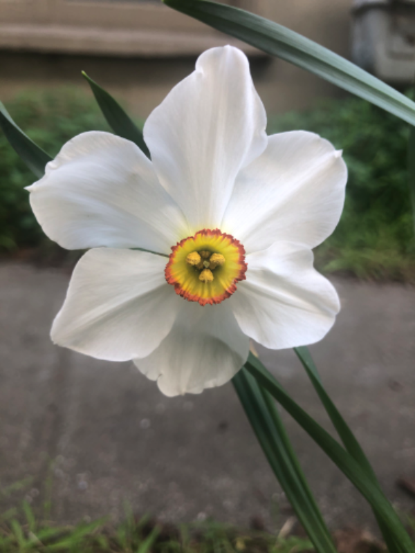 2345 Fulton St - Photo 6 of 35