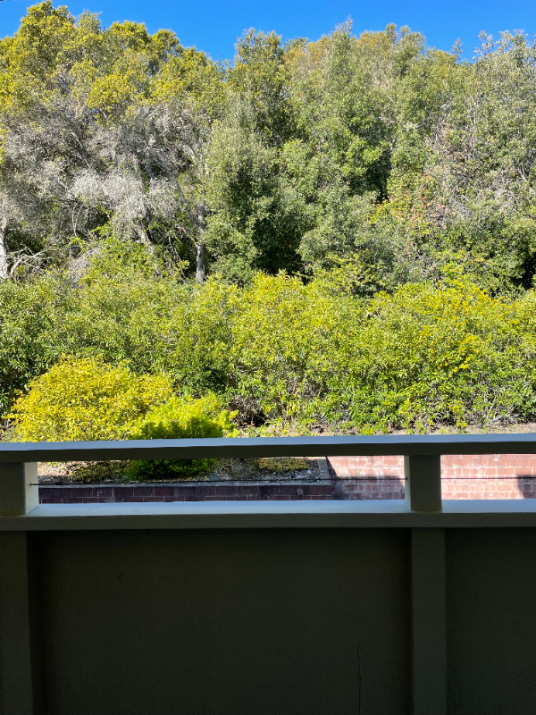 3224 Palos Verdes Ct #206 - Photo 2 of 21