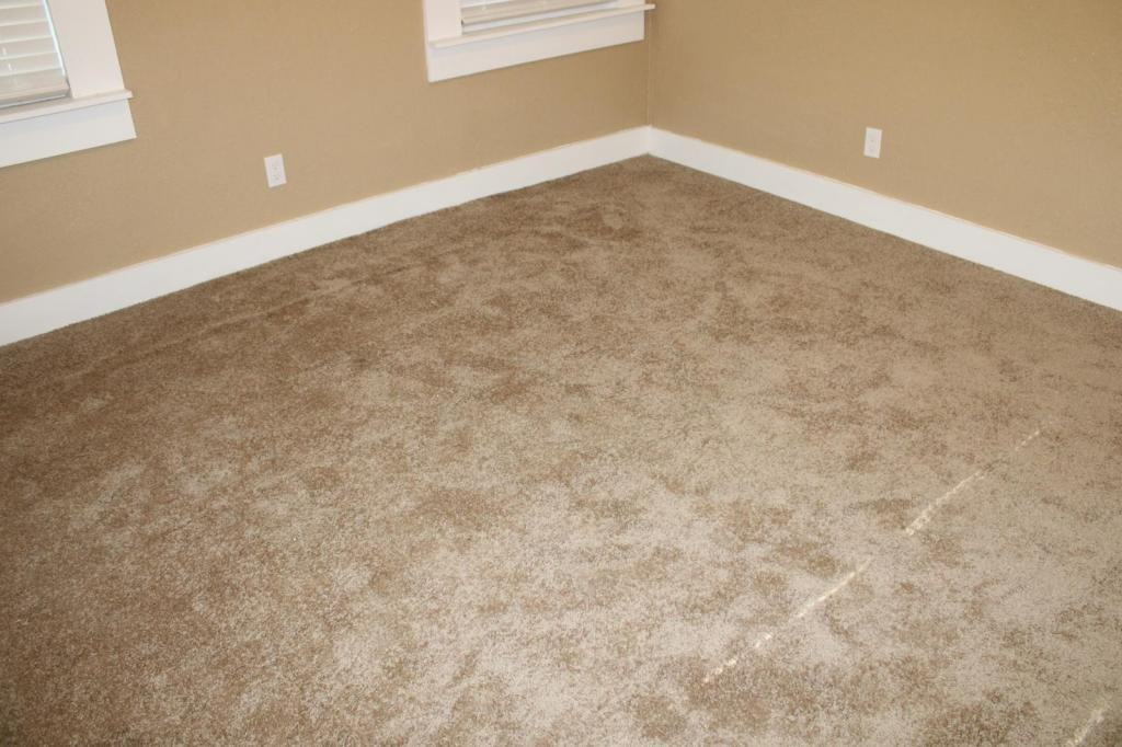 1034 Kney St - Photo 7 of 30