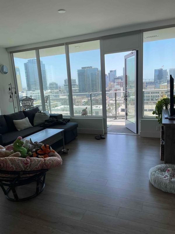 702 Broadway #1210 - Photo 3 of 22