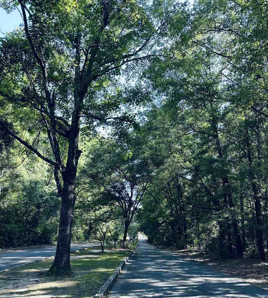 104 Riverbend Dr - Photo 2 of 21