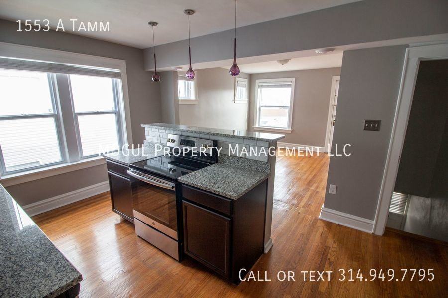 1553A Tamm Ave - Photo 3 of 16