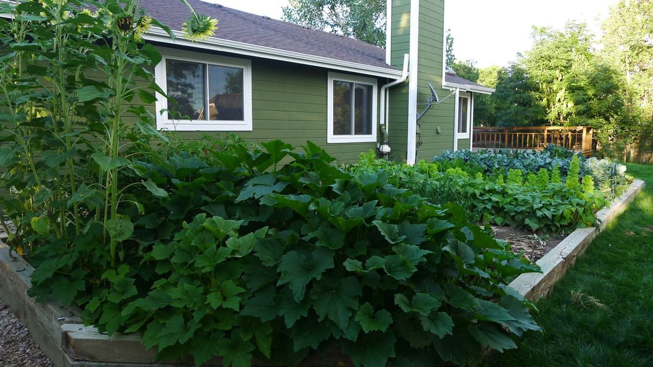 5471 S Zeno St - Photo 3 of 14