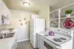 Wyandotte - Photo 1 of 1